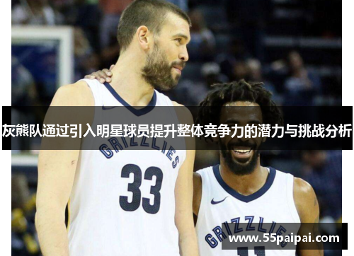 灰熊队通过引入明星球员提升整体竞争力的潜力与挑战分析