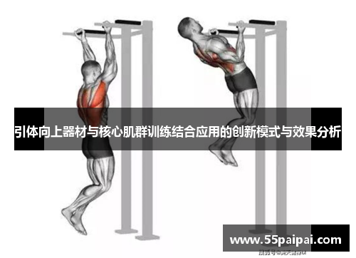 引体向上器材与核心肌群训练结合应用的创新模式与效果分析