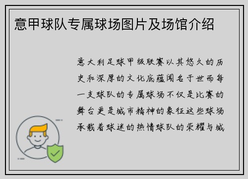 意甲球队专属球场图片及场馆介绍